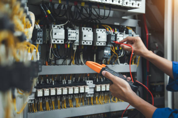 Best Electric Panel Repair  in Tichigan, WI